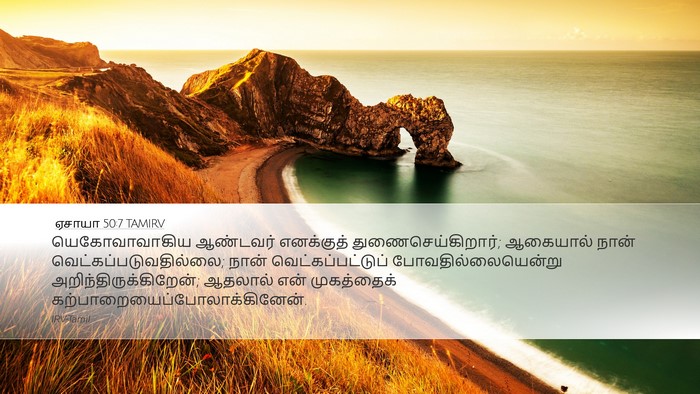 ஏசாயா 50:7 TAMIRV Bible Verse Image