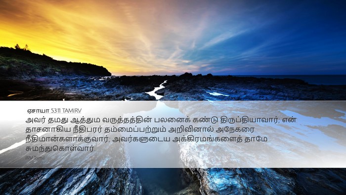 ஏசாயா 53:11 TAMIRV Bible Verse Image