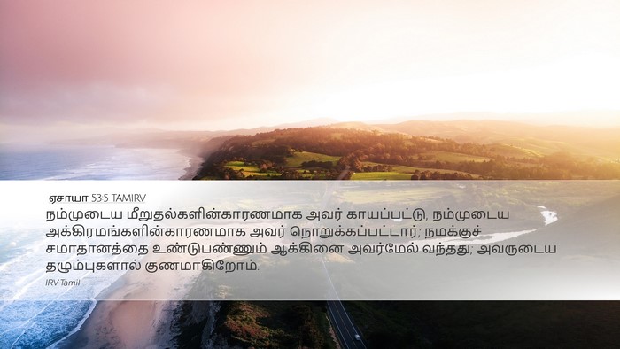 ஏசாயா 53:5 TAMIRV Bible Verse Image