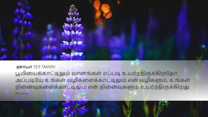 ஏசாயா 55:9 TAMIRV Bible Verse Image