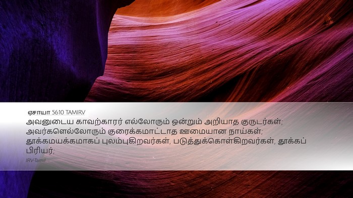 ஏசாயா 56:10 TAMIRV Bible Verse Image