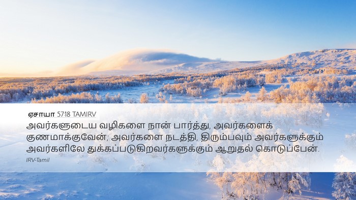 ஏசாயா 57:18 TAMIRV Bible Verse Image