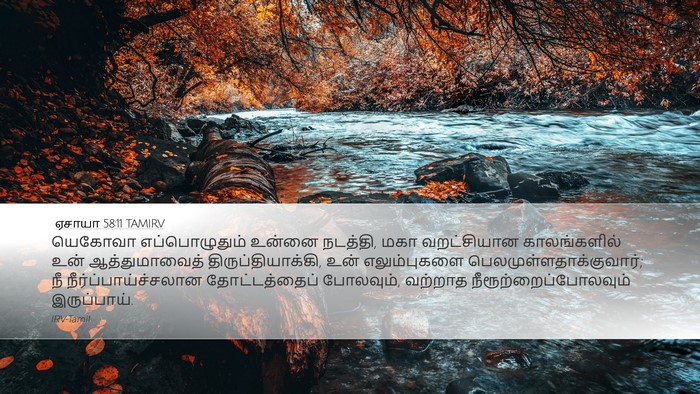ஏசாயா 58:11 TAMIRV Bible Verse Image