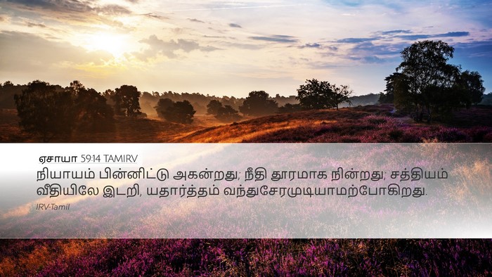 ஏசாயா 59:14 TAMIRV Bible Verse Image