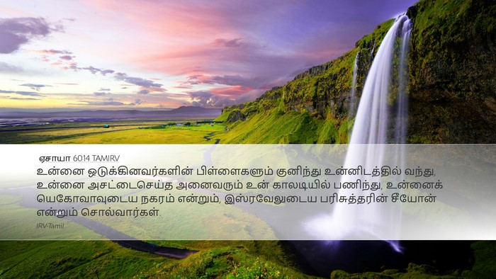 ஏசாயா 60:14 TAMIRV Bible Verse Image