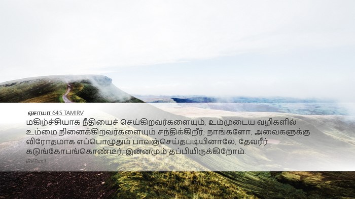 ஏசாயா 64:5 TAMIRV Bible Verse Image
