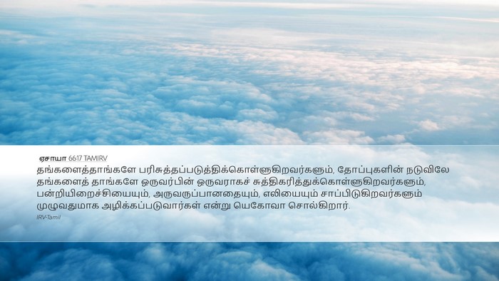 ஏசாயா 66:17 TAMIRV Bible Verse Image