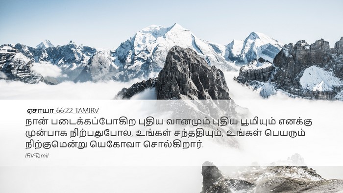 ஏசாயா 66:22 TAMIRV Bible Verse Image
