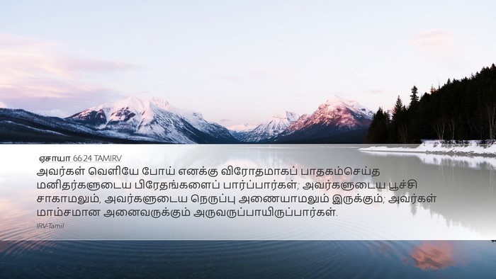ஏசாயா 66:24 TAMIRV Bible Verse Image