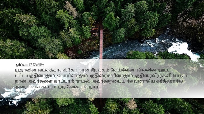 ஓசியா 1:7 TAMIRV Bible Verse Image