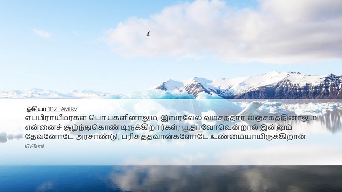 ஓசியா 11:12 TAMIRV Bible Verse Image