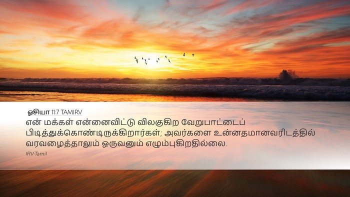 ஓசியா 11:7 TAMIRV Bible Verse Image