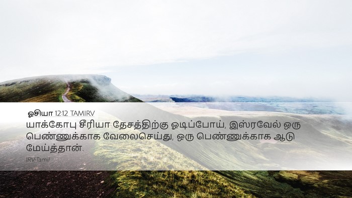 ஓசியா 12:12 TAMIRV Bible Verse Image