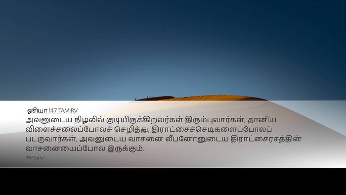 ஓசியா 14:7 TAMIRV Bible Verse Image