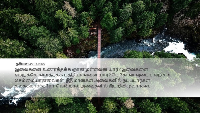 ஓசியா 14:9 TAMIRV Bible Verse Image