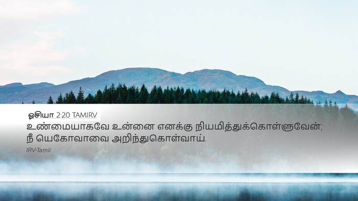 ஓசியா 2:20 TAMIRV Desktop Wallpaper - உண்மையாகவே உன்னை - Desktop Bible Verse Wallpaper