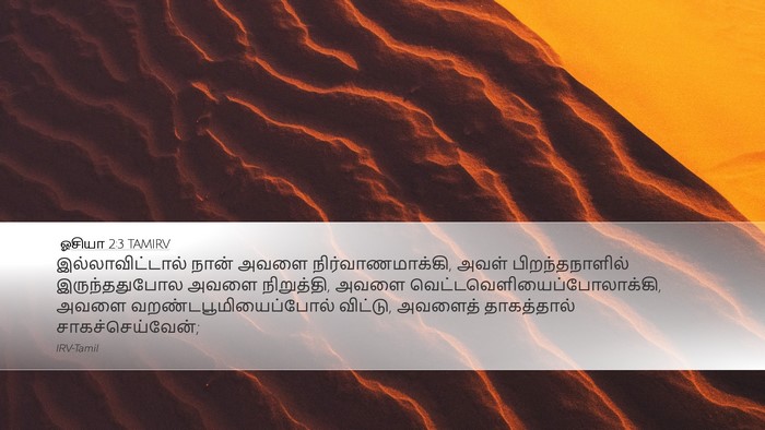 ஓசியா 2:3 TAMIRV Bible Verse Image