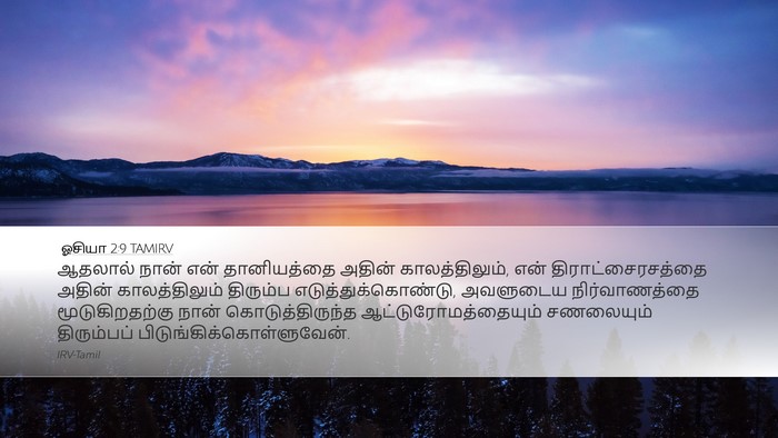 ஓசியா 2:9 TAMIRV Bible Verse Image