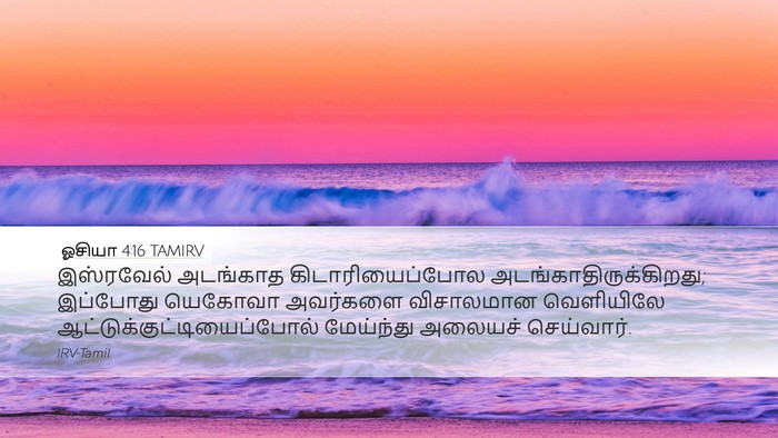ஓசியா 4:16 TAMIRV Bible Verse Image