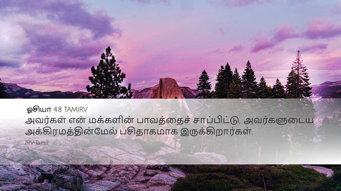 ஓசியா 4:8 TAMIRV Bible Verse Image