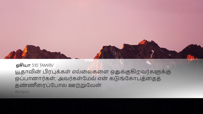 ஓசியா 5:10 TAMIRV Bible Verse Image