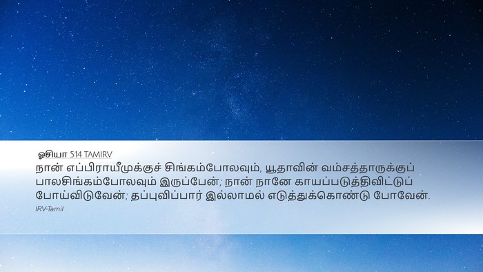 ஓசியா 5:14 TAMIRV Bible Verse Image