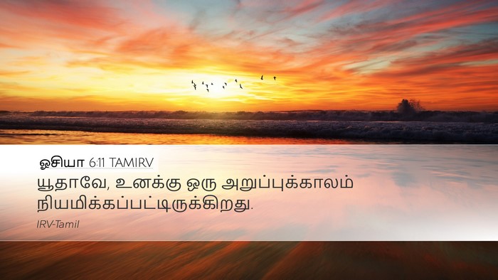 ஓசியா 6:11 TAMIRV Bible Verse Image