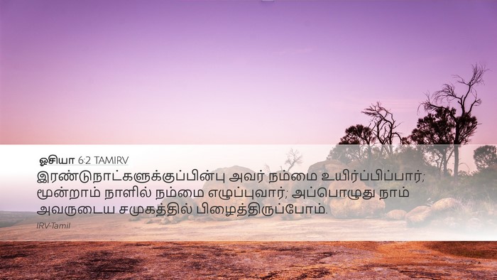 ஓசியா 6:2 TAMIRV Bible Verse Image