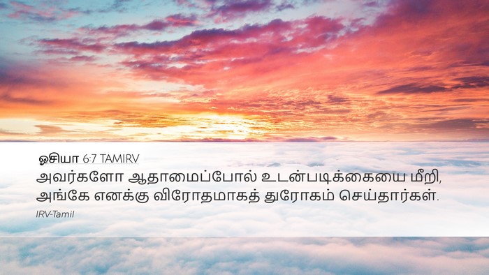 ஓசியா 6:7 TAMIRV Bible Verse Image