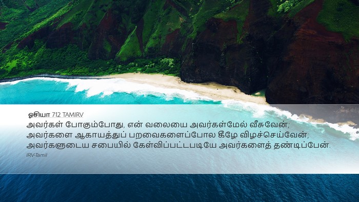 ஓசியா 7:12 TAMIRV Bible Verse Image