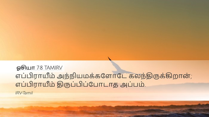 ஓசியா 7:8 TAMIRV Bible Verse Image