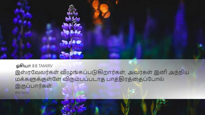 ஓசியா 8:8 TAMIRV Bible Verse Image