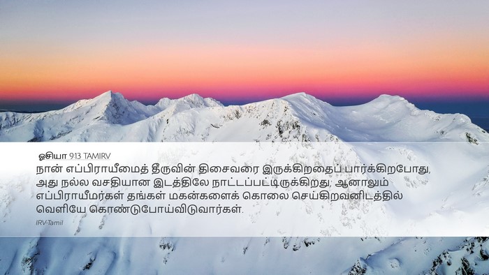 ஓசியா 9:13 TAMIRV Desktop Wallpaper - நான் - Desktop Bible Verse Wallpaper