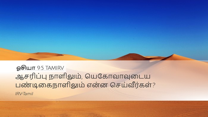 ஓசியா 9:5 TAMIRV Desktop Wallpaper - ஆசரிப்பு - Desktop Bible Verse Wallpaper