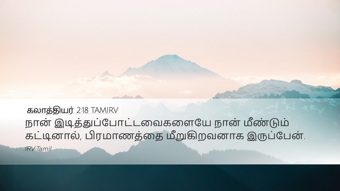 கலாத்தியர் 2:18 TAMIRV Bible Verse Image