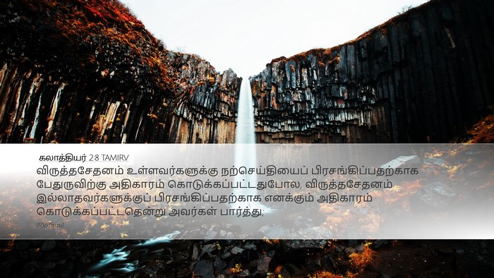 கலாத்தியர் 2:8 TAMIRV Bible Verse Image