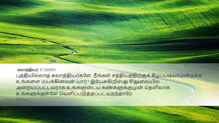 கலாத்தியர் 3:1 TAMIRV Bible Verse Image