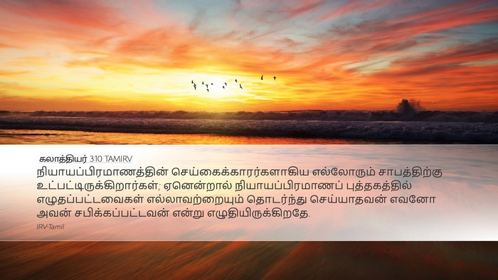 கலாத்தியர் 3:10 TAMIRV Bible Verse Image
