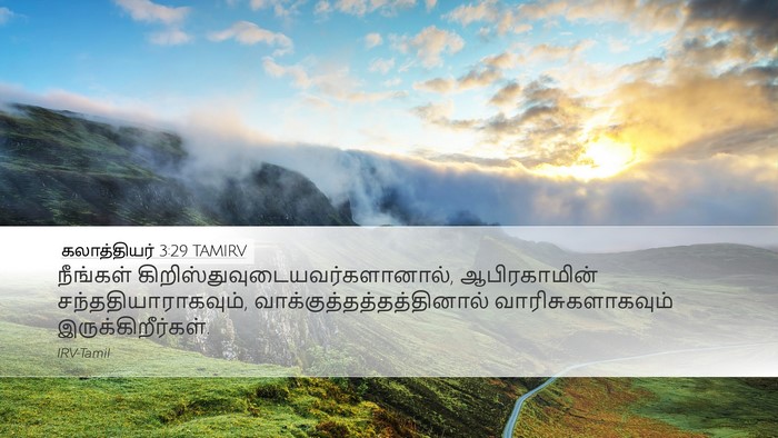கலாத்தியர் 3:29 TAMIRV Bible Verse Image