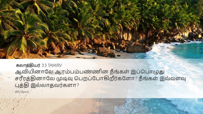 கலாத்தியர் 3:3 TAMIRV Bible Verse Image