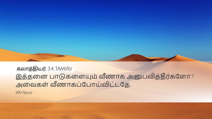 கலாத்தியர் 3:4 TAMIRV Bible Verse Image