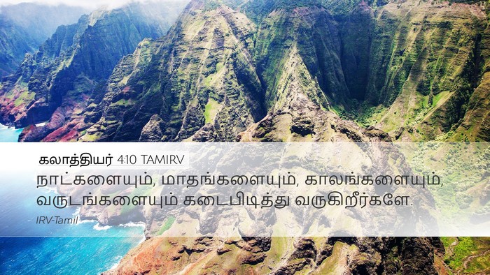 கலாத்தியர் 4:10 TAMIRV Bible Verse Image