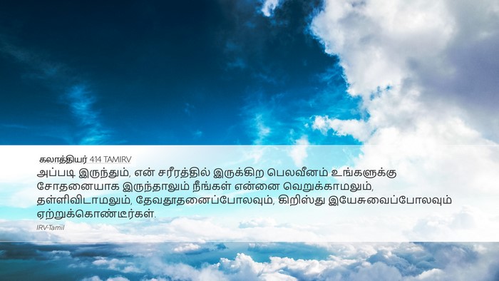 கலாத்தியர் 4:14 TAMIRV Bible Verse Image