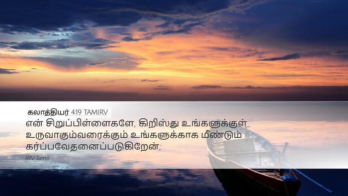 கலாத்தியர் 4:19 TAMIRV Bible Verse Image