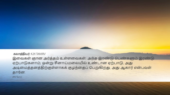கலாத்தியர் 4:24 TAMIRV Bible Verse Image