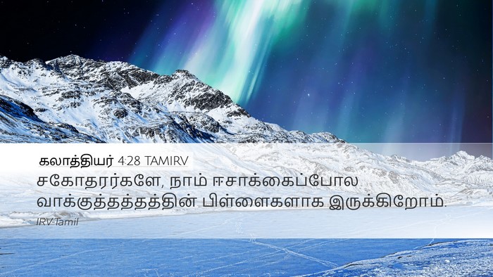 கலாத்தியர் 4:28 TAMIRV Bible Verse Image