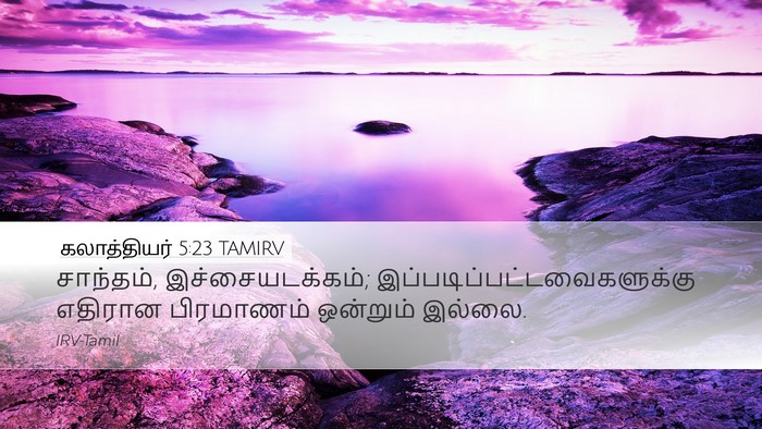 கலாத்தியர் 5:23 TAMIRV Bible Verse Image