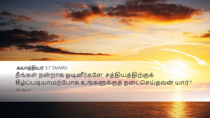 கலாத்தியர் 5:7 TAMIRV Bible Verse Image