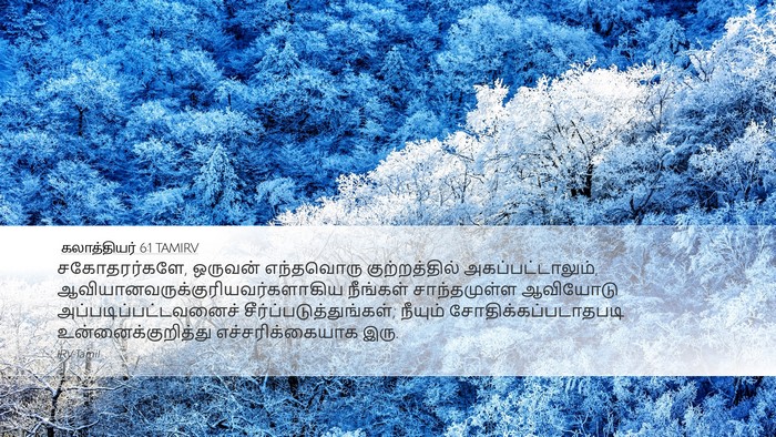 கலாத்தியர் 6:1 TAMIRV Bible Verse Image