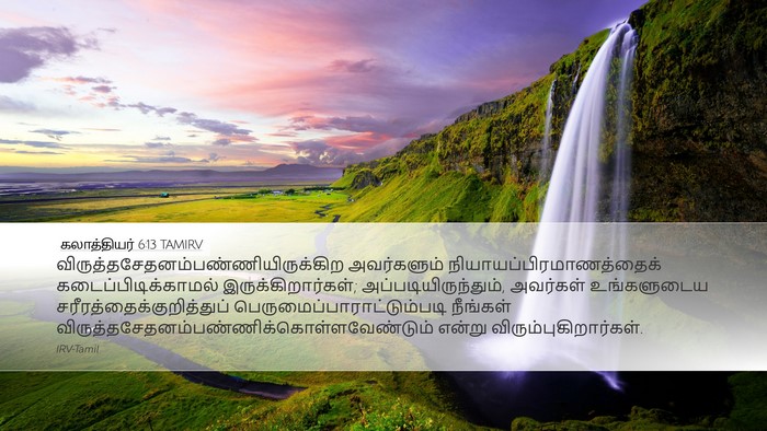 கலாத்தியர் 6:13 TAMIRV Bible Verse Image